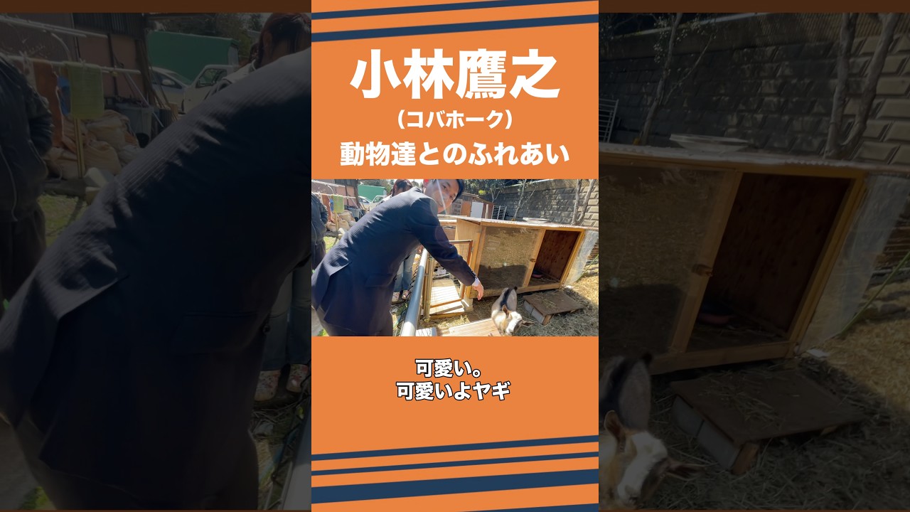 動物達とふれあいました!