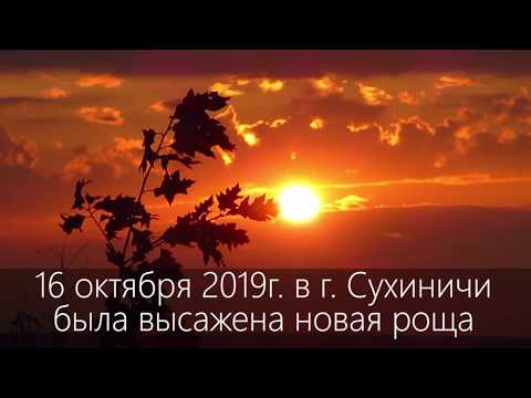Обреченная на умирание?