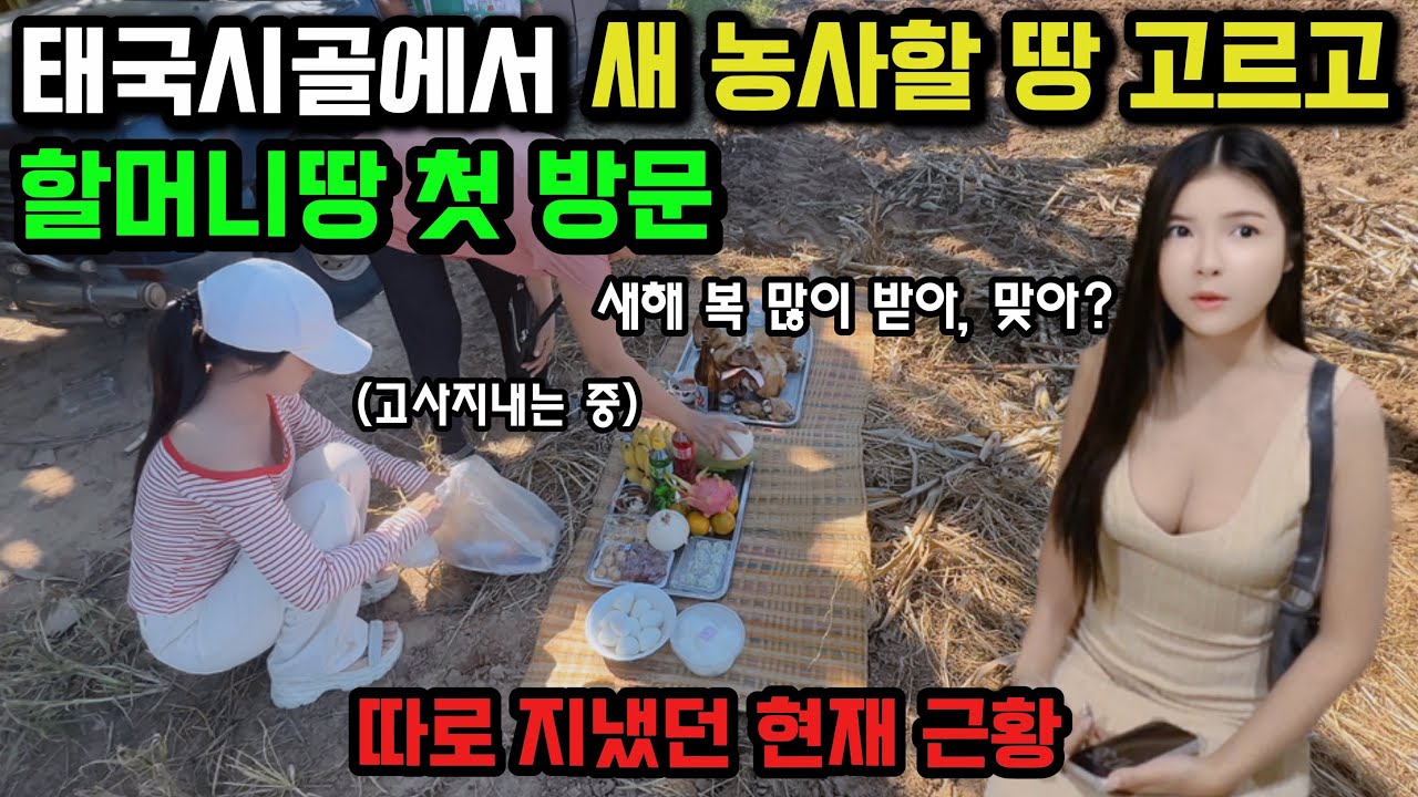 태국시골에서 새농사를 시작합니다. 그리고 현재 상황 말씀드리겠습니다. (함께 보내지 못한 최근 근황) 🇰🇷🇹🇭