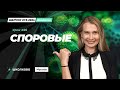 Щелчок по Биологии 2024| Споровые растения