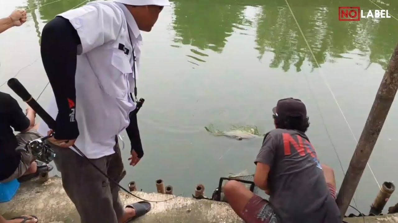 SKILL OM KEVIN BUKAN KALENG-KALENG‼️BABON SAMPAI GA BERKUTIK‼️