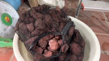 CÁCH SET UP 1 bể cá rồng lọc tràn trên