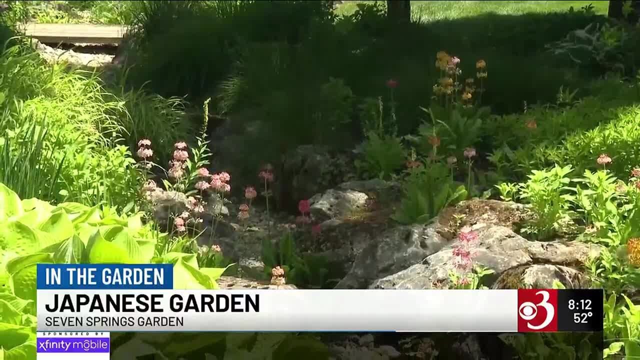 In the Garden: Japanese garden