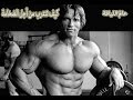 أرنولد شوارزنيجر كيف تتدرب من أجل الضخامة 