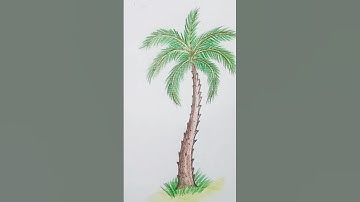 DATE PALM #drawing #arttutorial #easydrawing