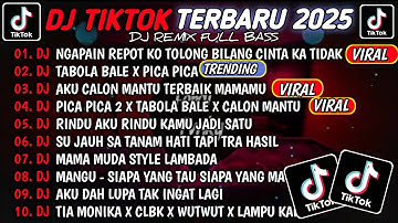 DJ TIKTOK TERBARU 2025🎵DJ NGAPAIN REPOT-KO TOLONG BILANG CINTA KA TIDAK🎵DJ TABOLA BALE X PICA PICA 2