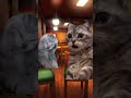 難病が発覚してVtuberになるまで、#shorts #vtuber