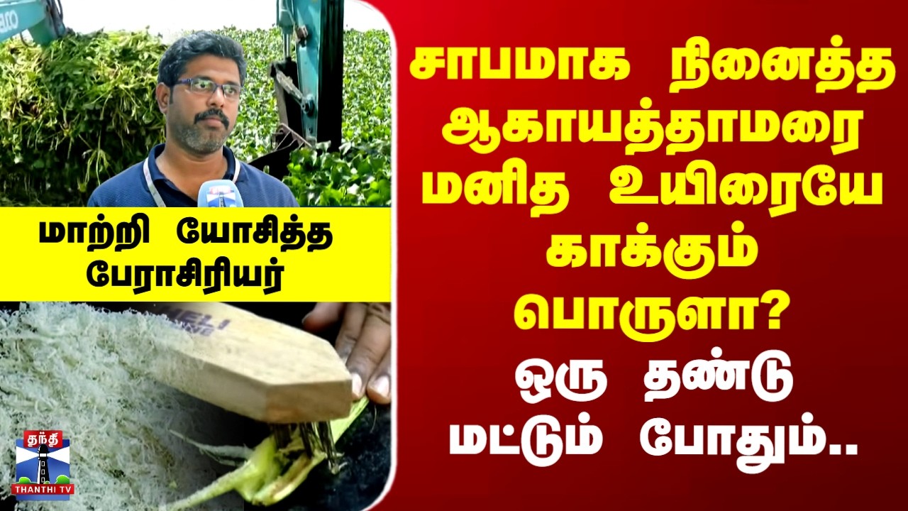 Water hyacinths | சாபமாக நினைத்த ஆகாயத்தாமரை மனித உயிரையே காக்கும்  பொருளா?