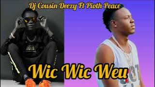 WIC WIC WEU - Dj Cousin Deezy ft Pioth Peace