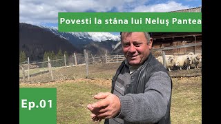 Povesti in stâna de oi oacheșe ale lui Neluș Pantea din Dâmbovicioara - E01