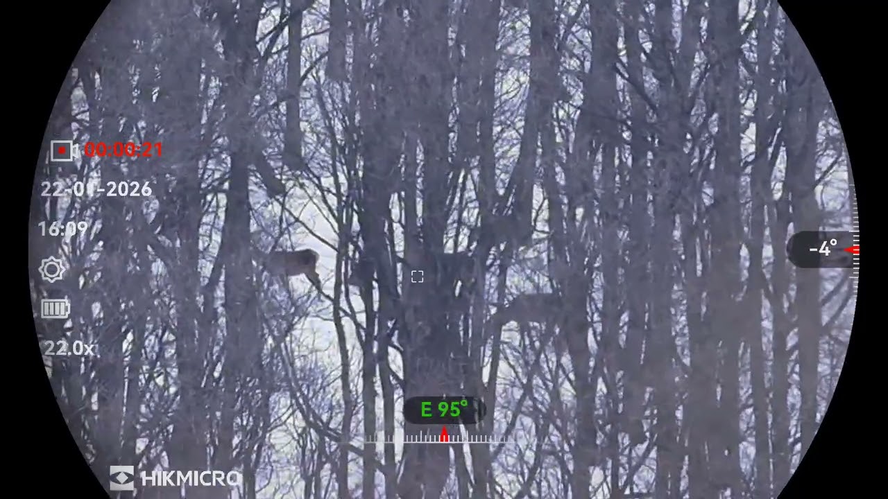 Hikmicro Habrok 4k HE25LN Vonulás közben.