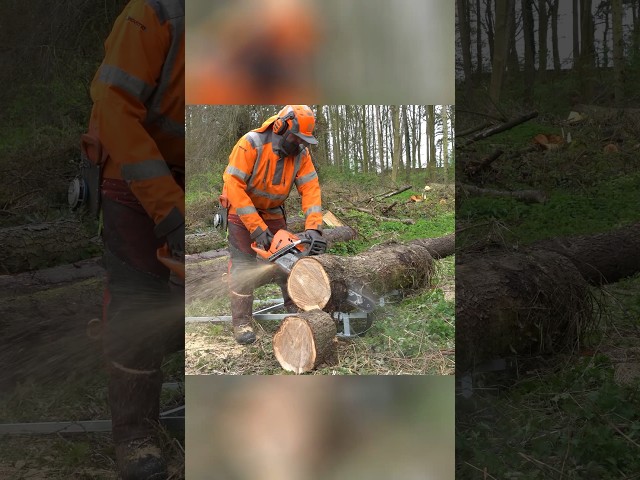 Forest Master 2-in-1 Log Lifter and Sawhorse (FMLL) #shorts #forestry #woodworking