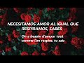 Un Grand Amour - Carla Bruni  (español/ paroles)