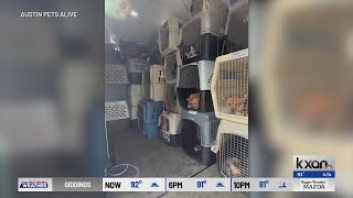Rush to rescue animals after Central Texas Flooding