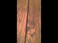 Restoration Hardware Table cracking! Restoration Hardware Table cracking!