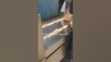 Automatic chicken gizzard opener machine