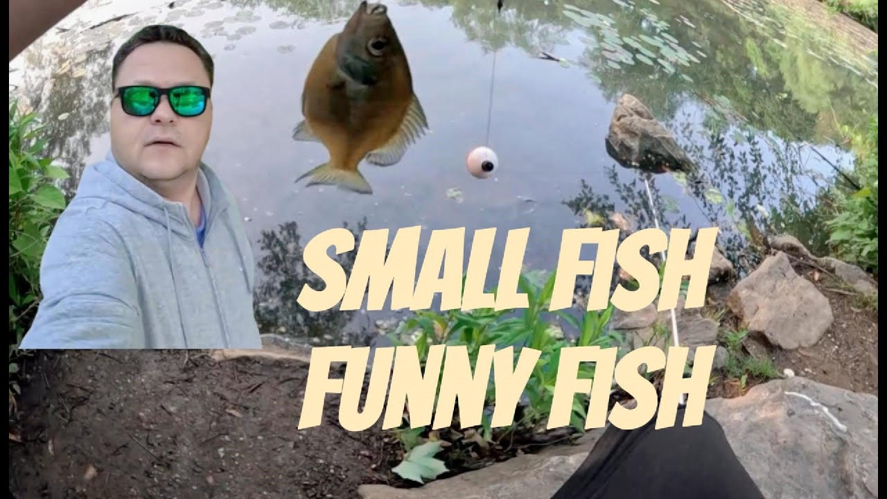 Small Fish Funny Fish , a great experience fishing in Queens NY - YouTube
