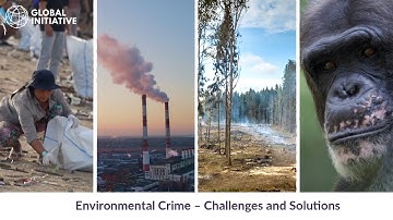 Environmental Crime - Challenges and Solutions