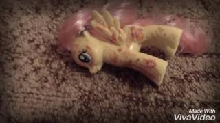 MLP music video Christina Perri thousand years 🐶PVM🐶