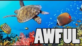 Great Barrier Reef 'pronounced dead'