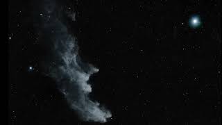 IC2118 - Witch Head Nebula