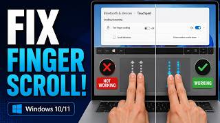 Two Finger Scroll Not Working in Windows 10/11? Here’s How to Fix It