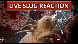 Slug Moment - Tomato Modded Noita stream highlights
