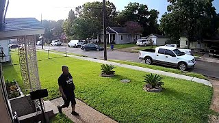 Man Leaps Into Truck Bed to Avoid Dogs || ViralHog Man Leaps Into Truck Bed to Avoid Dogs || ViralHog