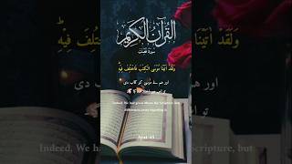 Download Lagu Surah Fussilat ayat 44 to 45 MP3 Download Lagu Surah Fussilat ayat 44 to 45 MP3