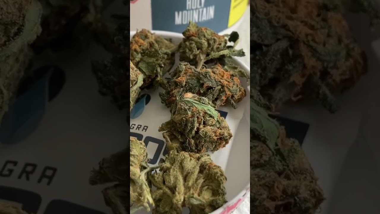 Toronto Cannabis Dispensary Visit And Unboxing