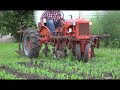 Cultivating Corn CA with 2 row cultivator