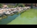 Building Natural Swimming Pool