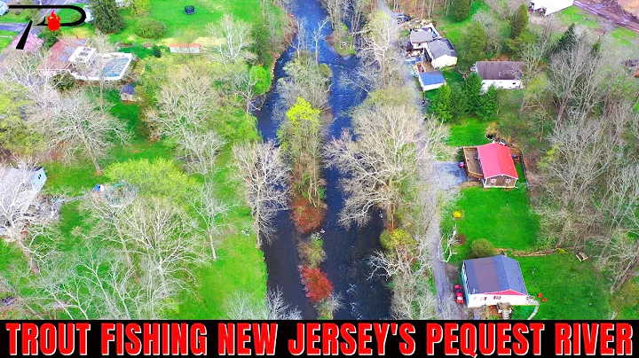 Trout Fishing New Jersey's Pequest River