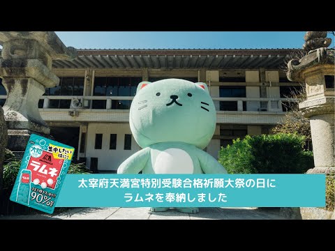 【受験生応援】 太宰府天満宮に森永ラムネを奉納／ラムねこ初出張 【森永ラムネ】