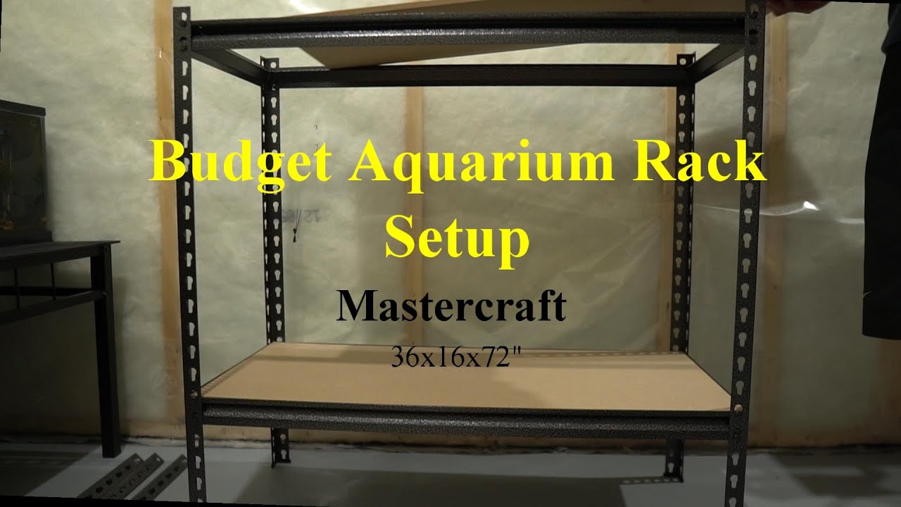 Budget Aquarium Rack Setup YouTube