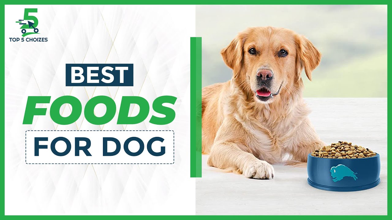 Top 5 Best Dog Foods in 2022 | Buying Guide: Dog Food