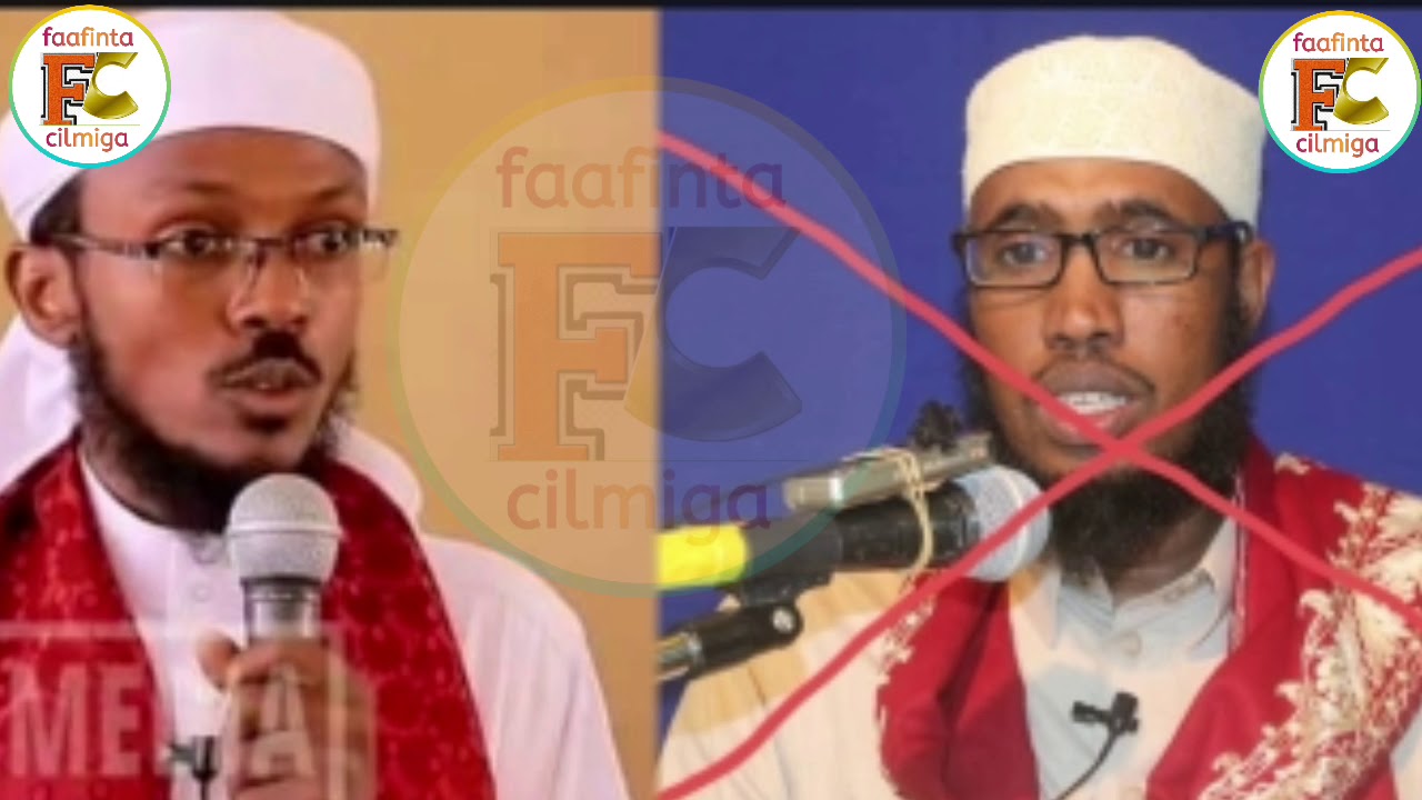 Sheikh saciid oo jawaab kulul siiyey .FAYSAL MAXAMED CALI