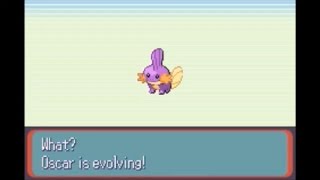 Shiny Mudkip Evolving to Marshtomp -- Pokemon Ruby