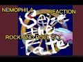 NEMOPHILA -ROCK N ROLL IS ? REACTION @NEMOPHILA_Tokyo #guitar #nemophilareaction #reactionvideo