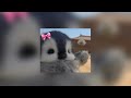рџЋЂTreasure Bruno Mars Sped Up рџЋЂ рџЋЂTreasure Bruno Mars Sped Up рџЋЂ