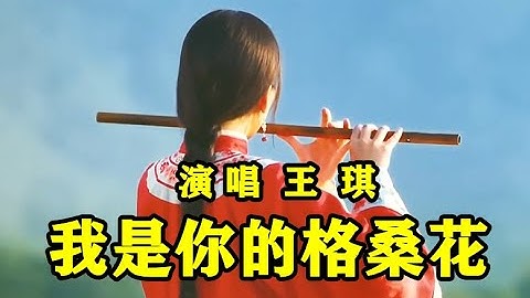 【 我是你的格桑花 】  MV    演唱：（ 王琪 ）