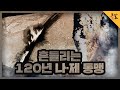 [KBS 역사저널 그날] 흔들리는 120년 나·제 동맹ㅣ KBS 210608 방송