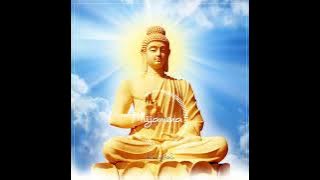 nijamena nhạc Phật full hot tiktok thenightshe