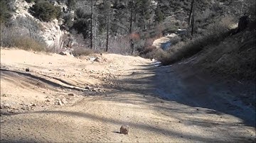 Saturn Vue Offroading in Light Snow