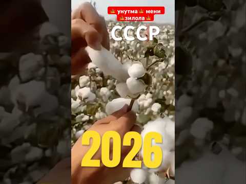 6 марта 2026 г.