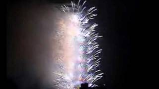 Taipei 101 Fireworks20090131/20100101