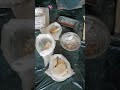 Crispy Clay Rock Packing Live #chalk #chalkasmr #clay #crunchycrumbles #minerals #asmr #clayvideos