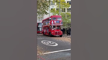 Happy London journey and easy compression work! #shorts #anismall