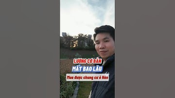 LÀM THEO LƯƠNG CƠ BẢN THÌ BAO NHIÊU LÂU MUA ĐƯỢC NHÀ CHUNG CƯ Ở HÀN QUỐC? #vikobig #shorts #hanquoc