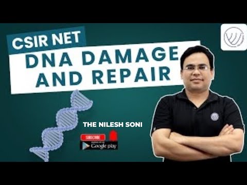 DNA DAMAGE AND ITS REPAIR CSIR NET LIFE SCIENCE DEC 2025 TNS CONCEPTS
